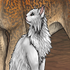 Aging White Norwegian Forest Cat